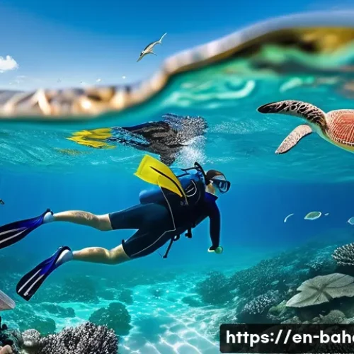 바하마 관광 필수 코스 - A vibrant underwater scene in the Bahamas showcasing a snorkeler wearing a colorful wetsuit and mask...