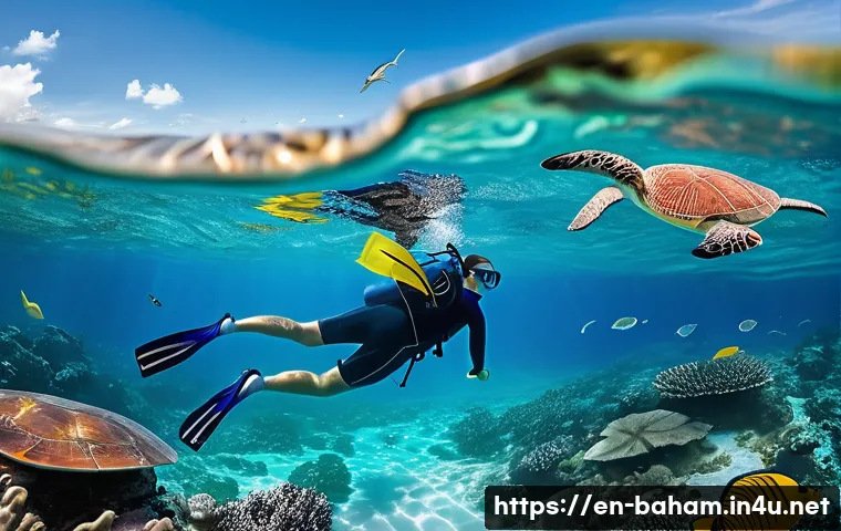 바하마 관광 필수 코스 - A vibrant underwater scene in the Bahamas showcasing a snorkeler wearing a colorful wetsuit and mask...